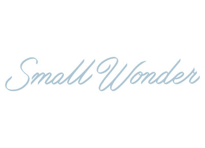 Small Wonder